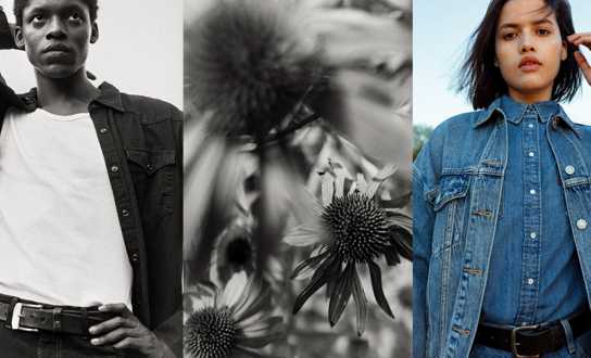 Levi's