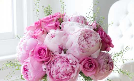 Appleyard Flowers